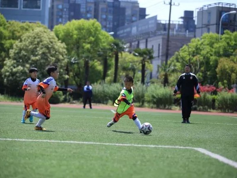 滚球平台_滚球官网_滚球网站_滚球体育平台官网-2026世界杯官方指定投注平台